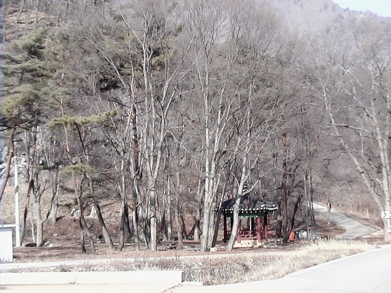 ��ſ� �ð� �Ǽ���