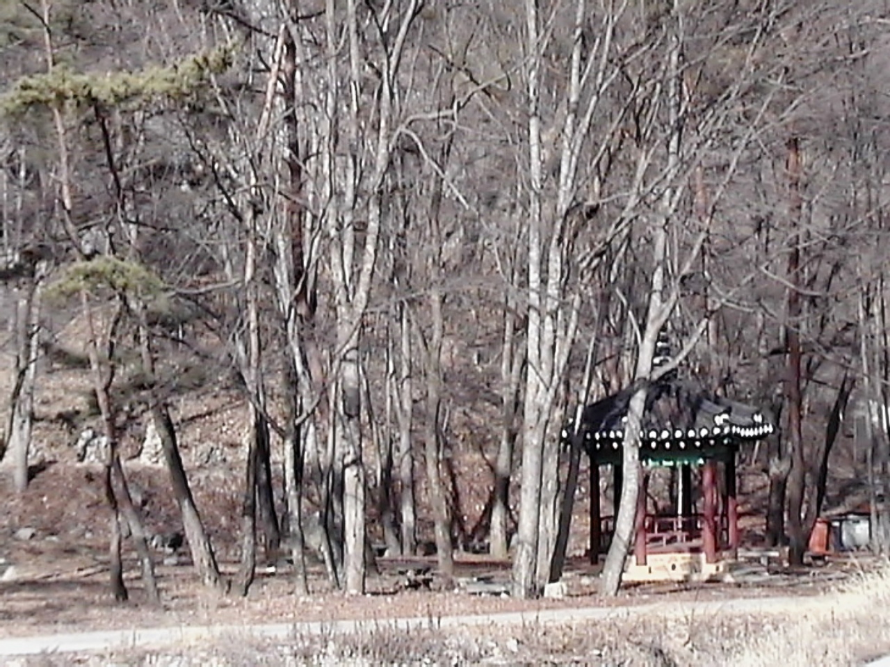 ��ſ� �ð� �Ǽ���