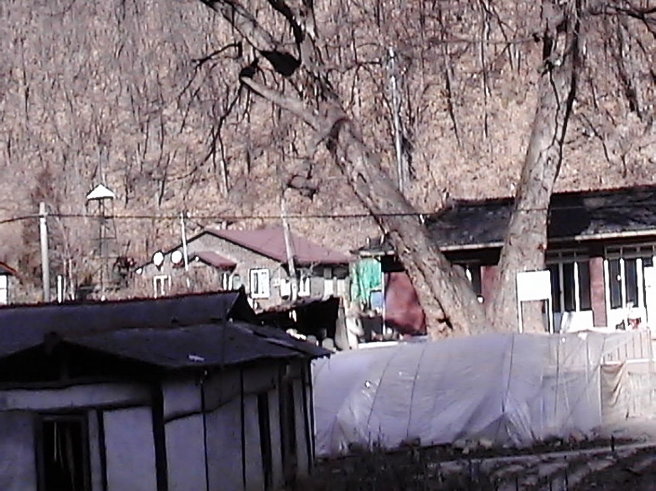 ��ſ� �ð� �Ǽ���