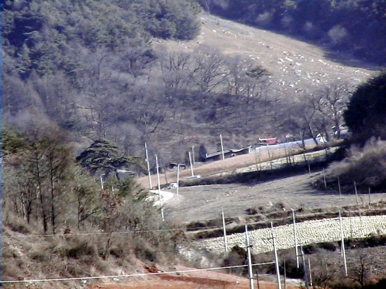 ��ſ� �ð� �Ǽ���