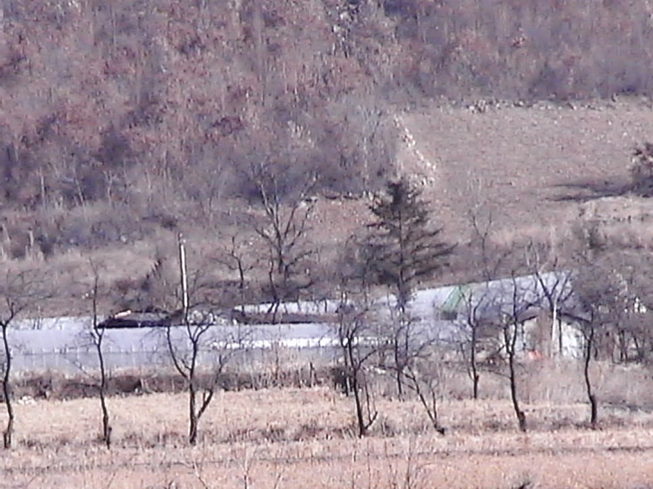 ��ſ� �ð� �Ǽ���