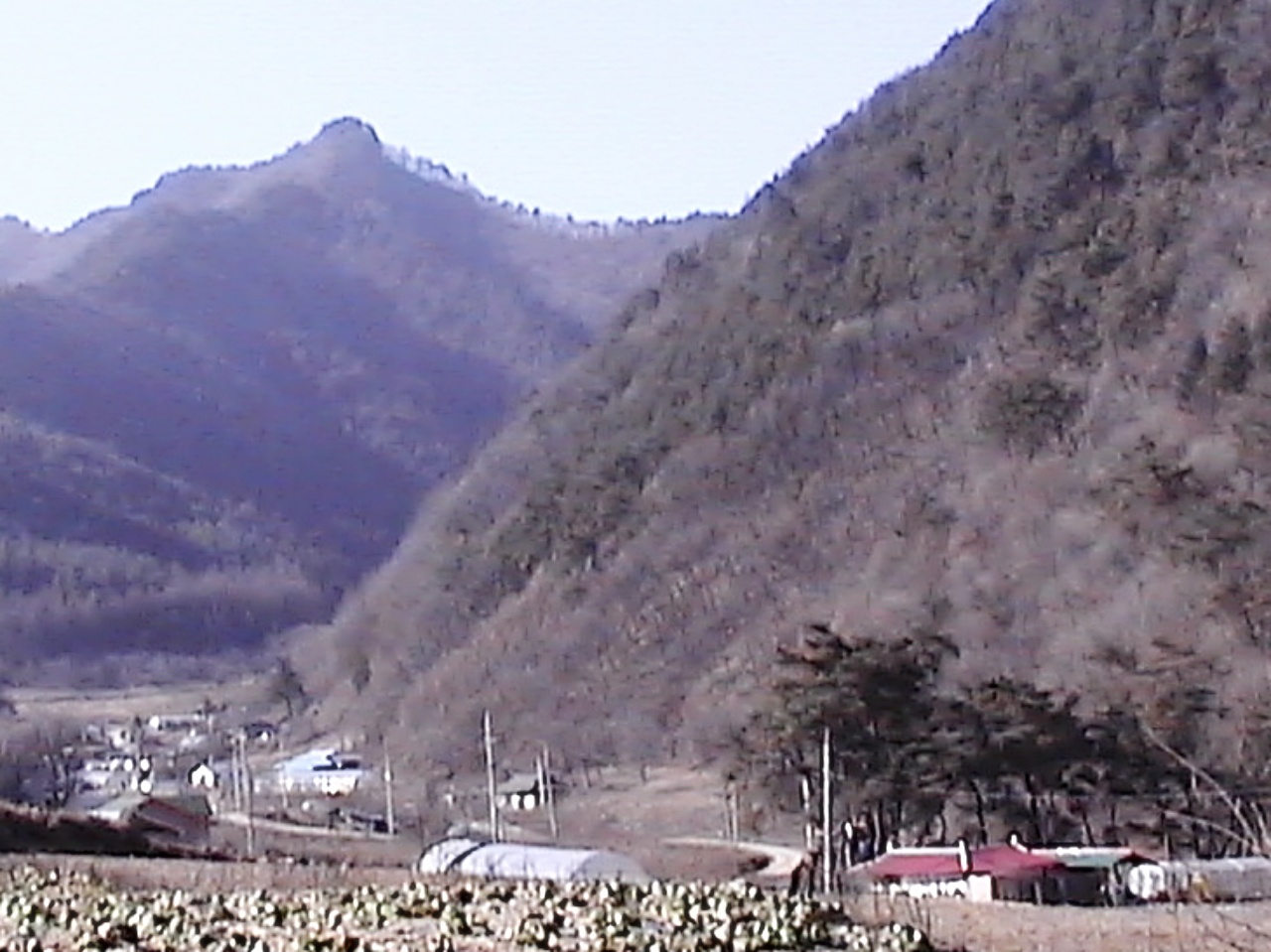 ��ſ� �ð� �Ǽ���