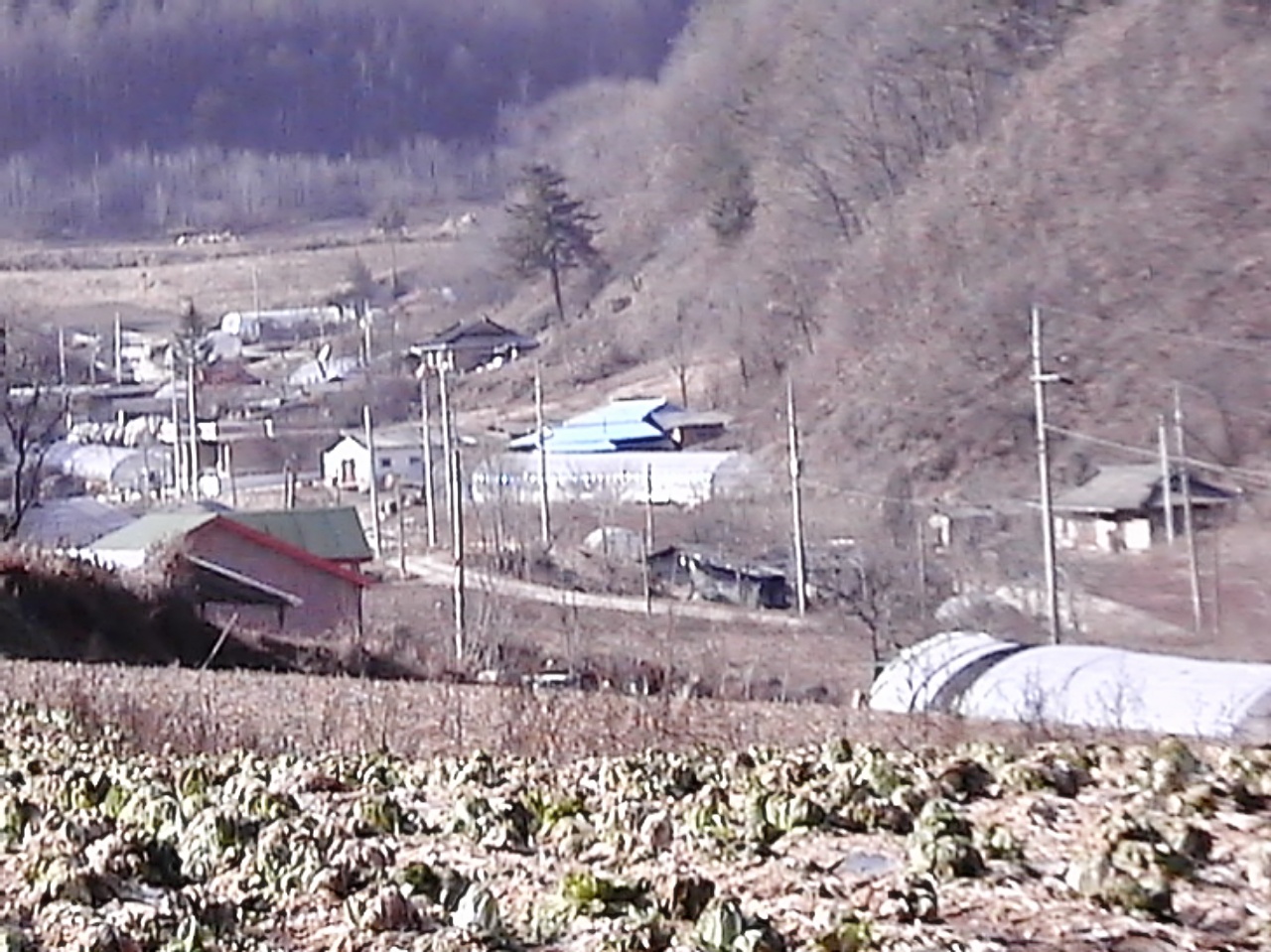 ��ſ� �ð� �Ǽ���