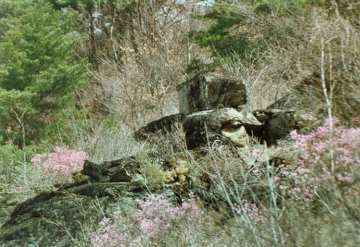 ��ſ� �ð� �Ǽ���