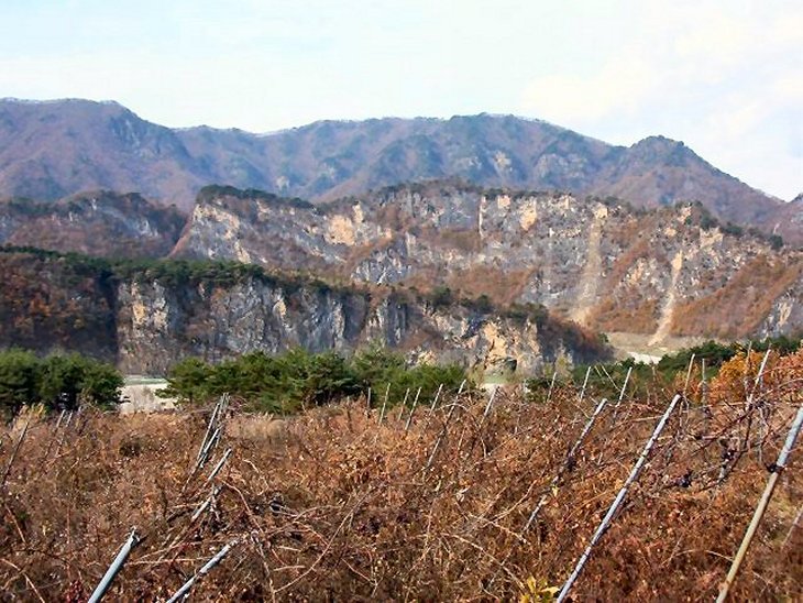 ��ſ� �ð� �Ǽ���