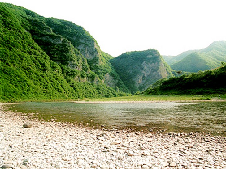 ��ſ� �ð� �Ǽ���