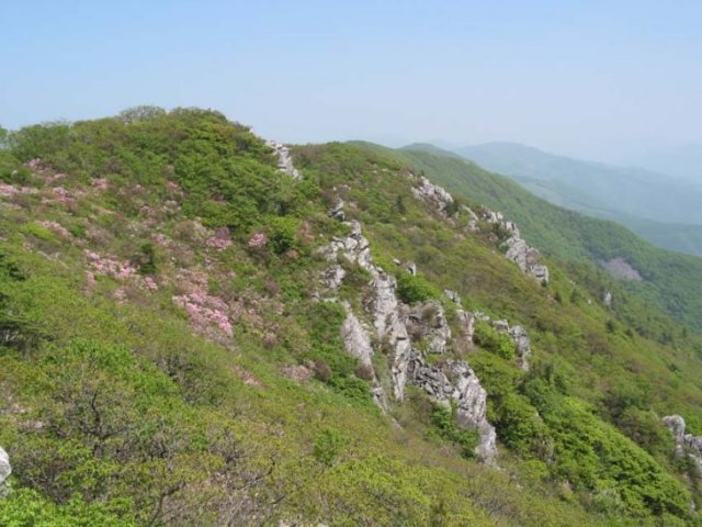 ��ſ� �ð� �Ǽ���