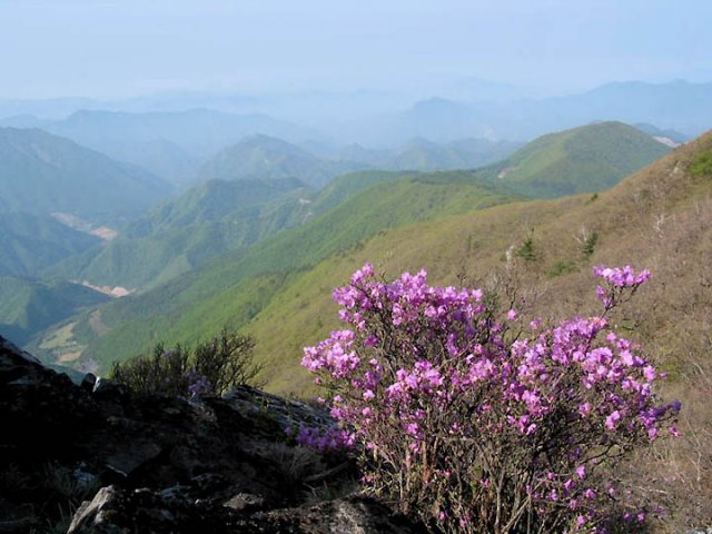 ��ſ� �ð� �Ǽ���