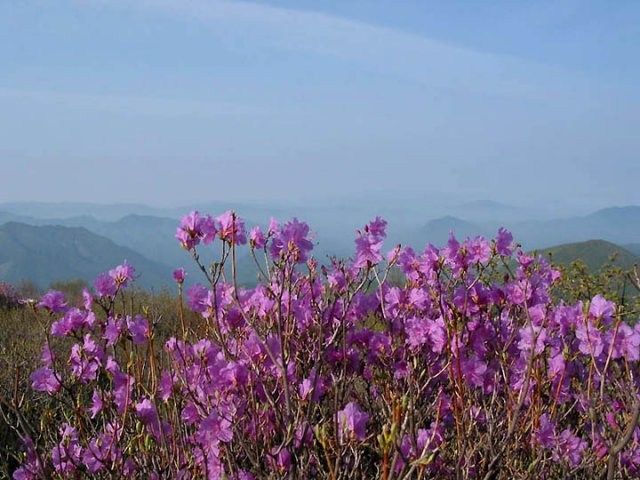 ��ſ� �ð� �Ǽ���