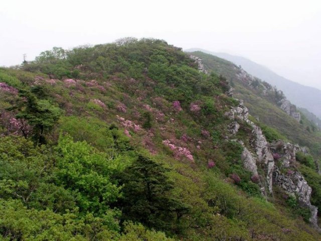 ��ſ� �ð� �Ǽ���