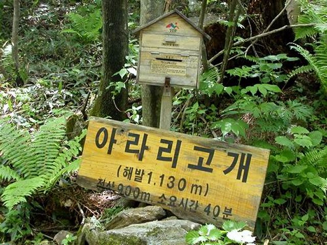 ��ſ� �ð� �Ǽ���