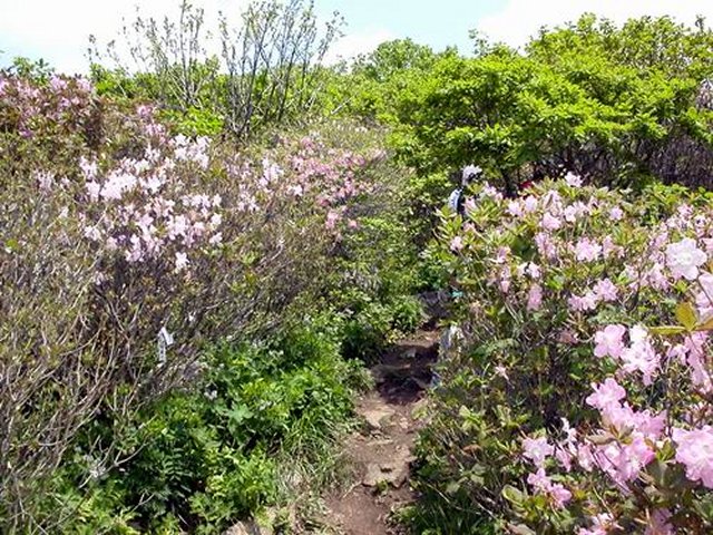 ��ſ� �ð� �Ǽ���