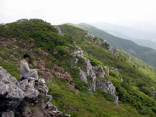 ��ſ� �ð� �Ǽ���