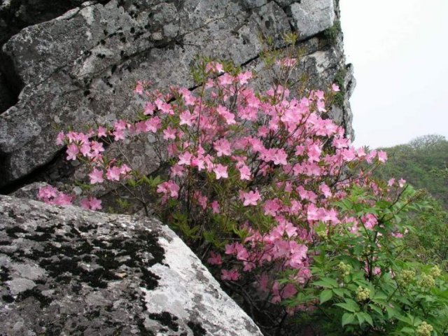 ��ſ� �ð� �Ǽ���