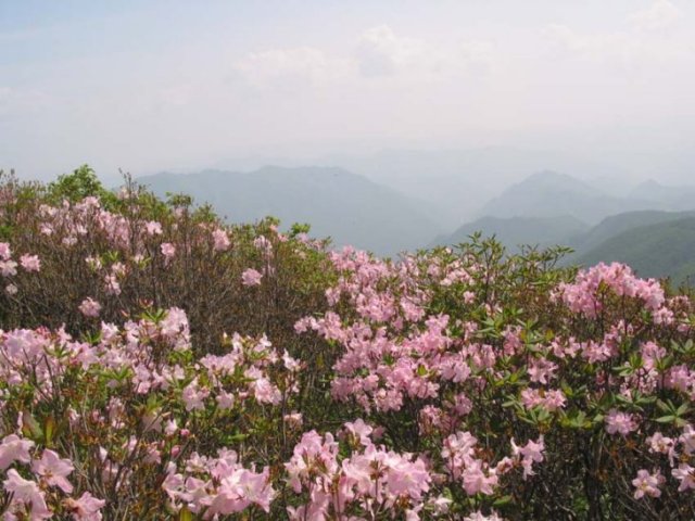 ��ſ� �ð� �Ǽ���