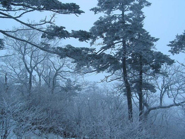 ��ſ� �ð� �Ǽ���