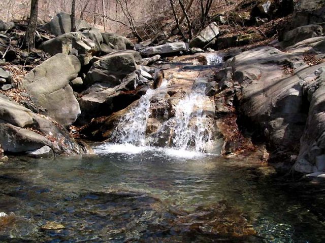 ��ſ� �ð� �Ǽ���