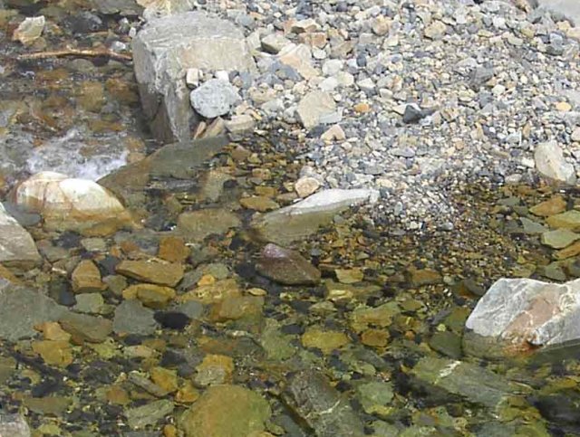 ��ſ� �ð� �Ǽ���