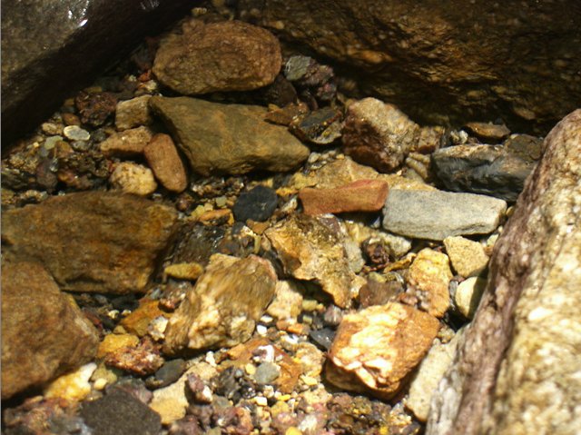 ��ſ� �ð� �Ǽ���