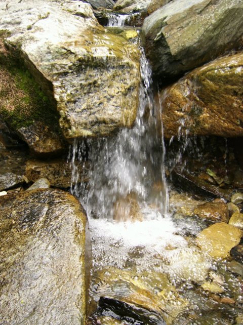 ��ſ� �ð� �Ǽ���