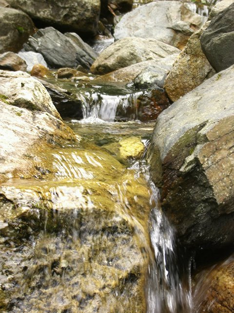 ��ſ� �ð� �Ǽ���