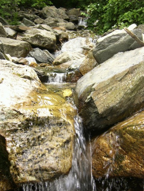 ��ſ� �ð� �Ǽ���