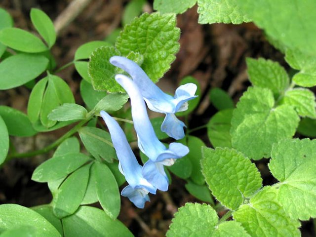 ��ſ� �ð� �Ǽ���