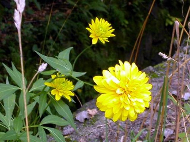 ��ſ� �ð� �Ǽ���