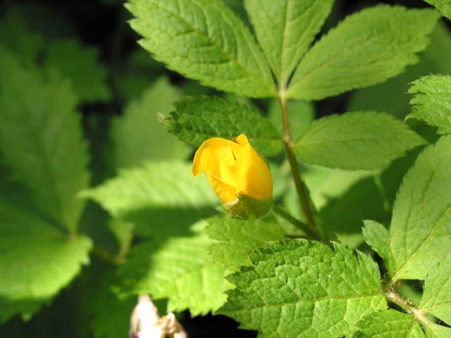 ��ſ� �ð� �Ǽ���