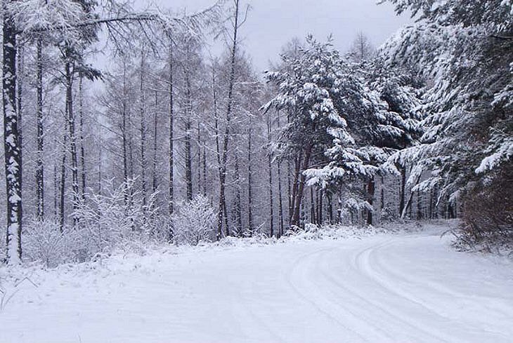 ��ſ� �ð� �Ǽ���