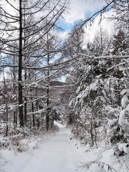 ��ſ� �ð� �Ǽ���