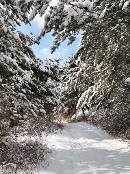 ��ſ� �ð� �Ǽ���