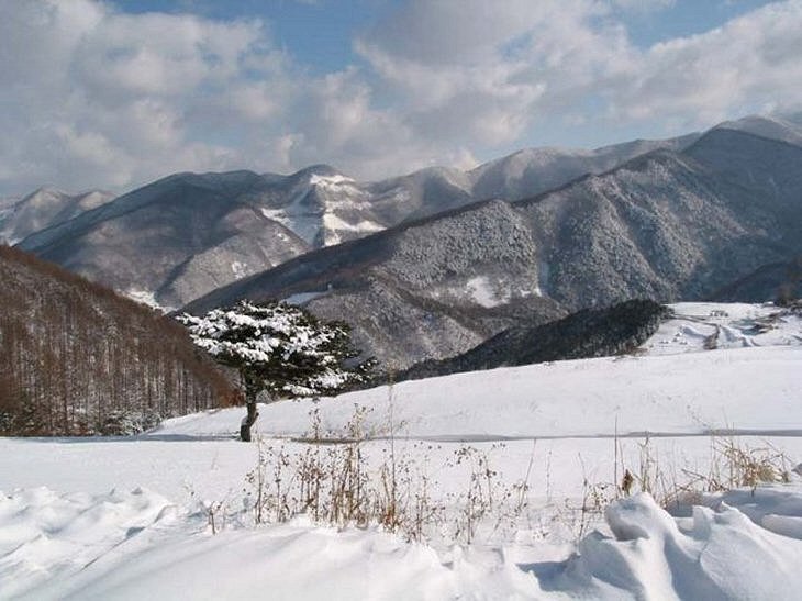 ��ſ� �ð� �Ǽ���