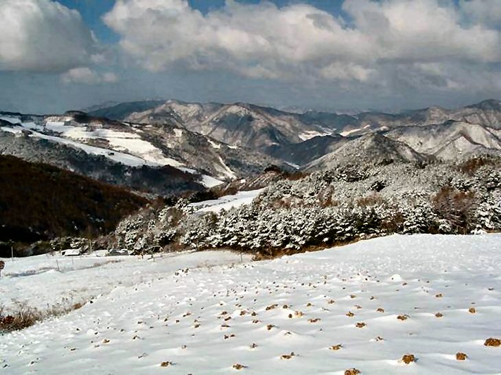 ��ſ� �ð� �Ǽ���