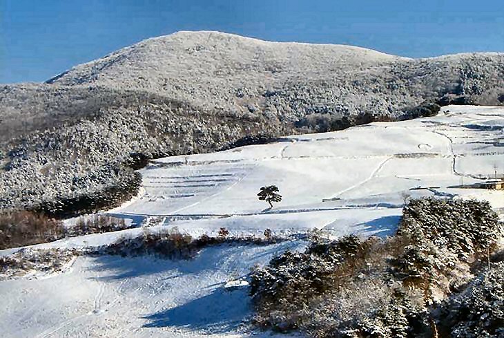 ��ſ� �ð� �Ǽ���