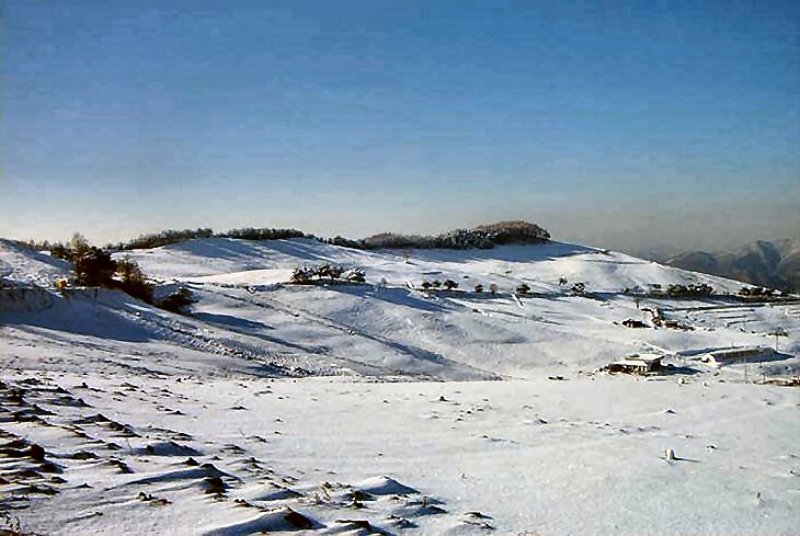 ��ſ� �ð� �Ǽ���