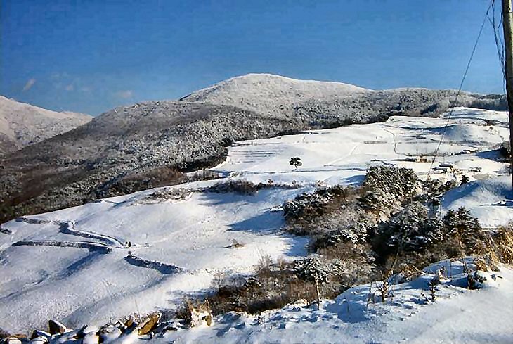 ��ſ� �ð� �Ǽ���