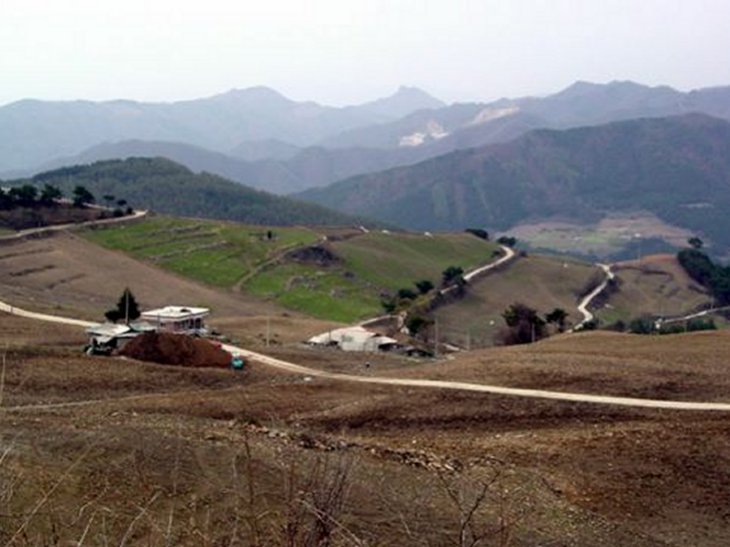 ��ſ� �ð� �Ǽ���