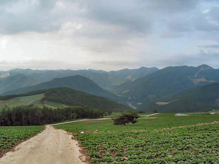 ��ſ� �ð� �Ǽ���