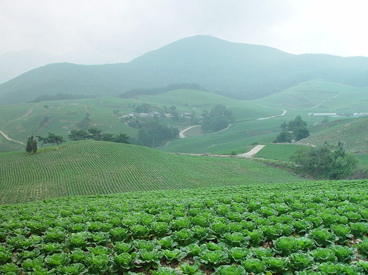 ��ſ� �ð� �Ǽ���