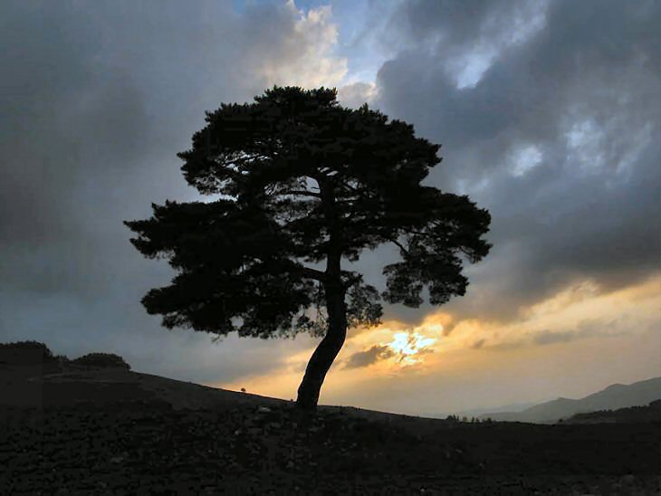 ��ſ� �ð� �Ǽ���