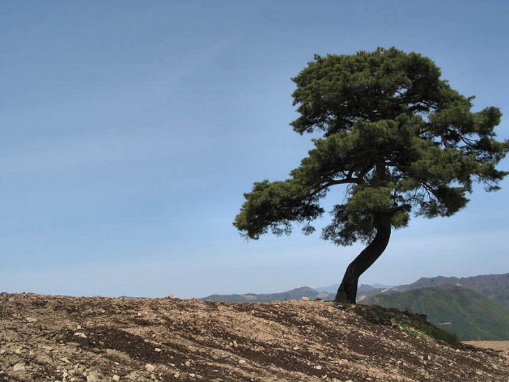 ��ſ� �ð� �Ǽ���