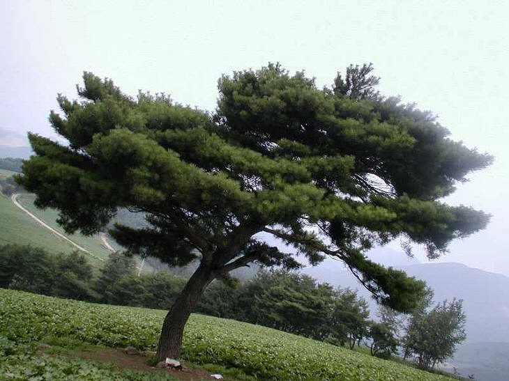 ��ſ� �ð� �Ǽ���