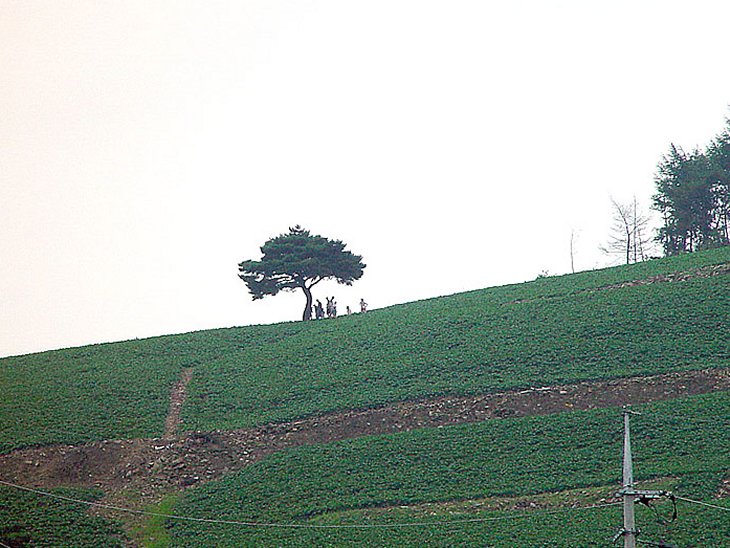 ��ſ� �ð� �Ǽ���