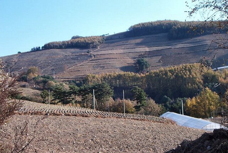 ��ſ� �ð� �Ǽ���