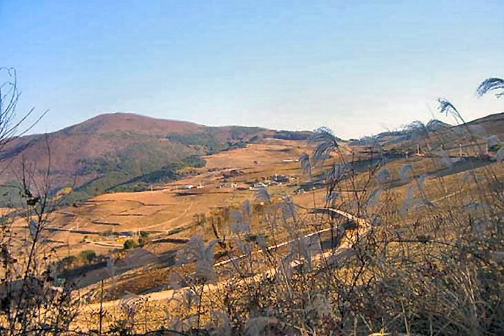 ��ſ� �ð� �Ǽ���