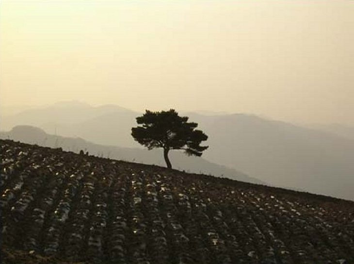 ��ſ� �ð� �Ǽ���