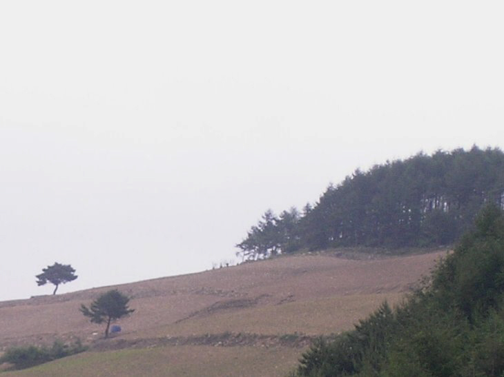 ��ſ� �ð� �Ǽ���