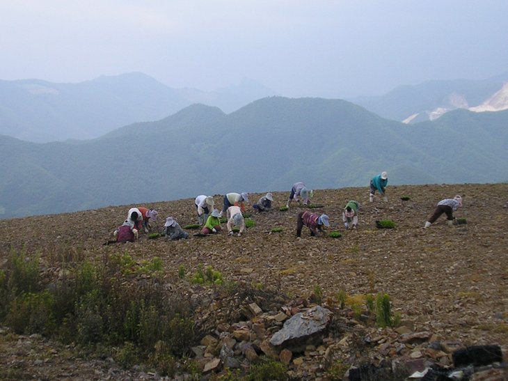 ��ſ� �ð� �Ǽ���