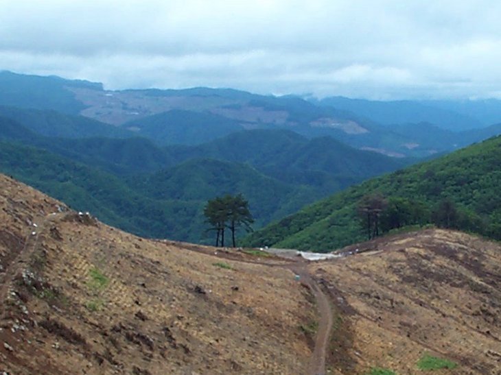 ��ſ� �ð� �Ǽ���